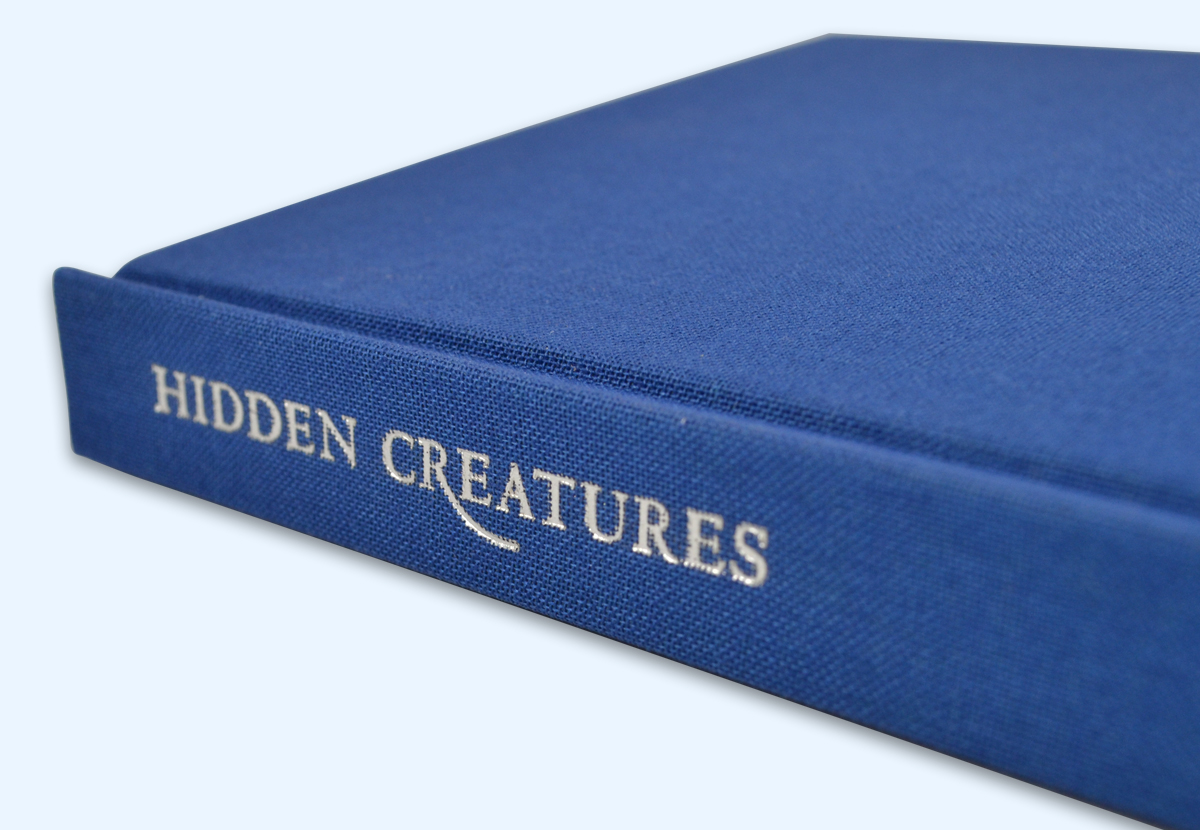 Close up of title on the spine